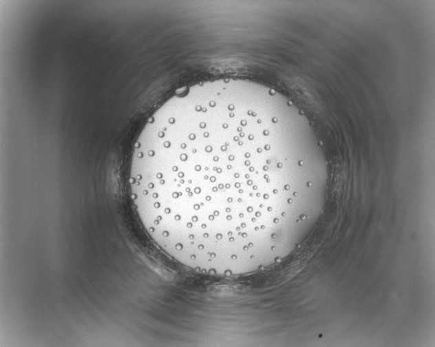 X0000074310408200609230006