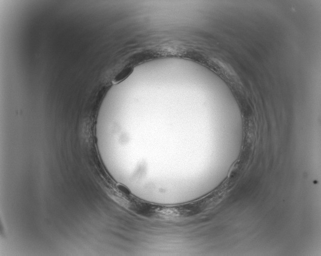 X0000074310409200609230006