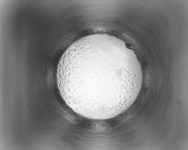 X0000074310410200609230006