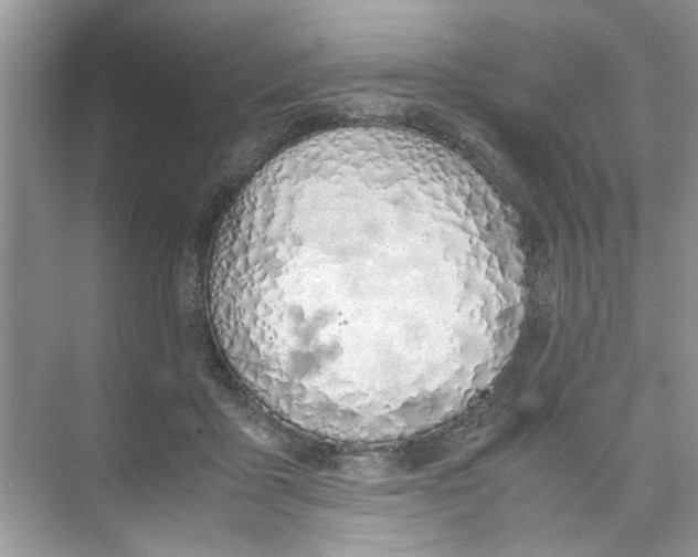 X0000074310411200609230006