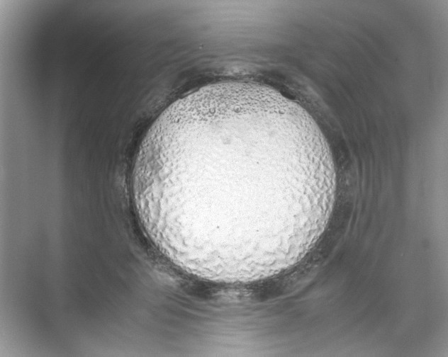 X0000074310415200609230006