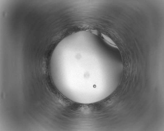 X0000074310416200609230006