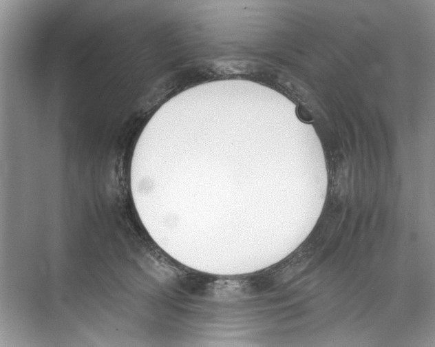 X0000074310418200609230006