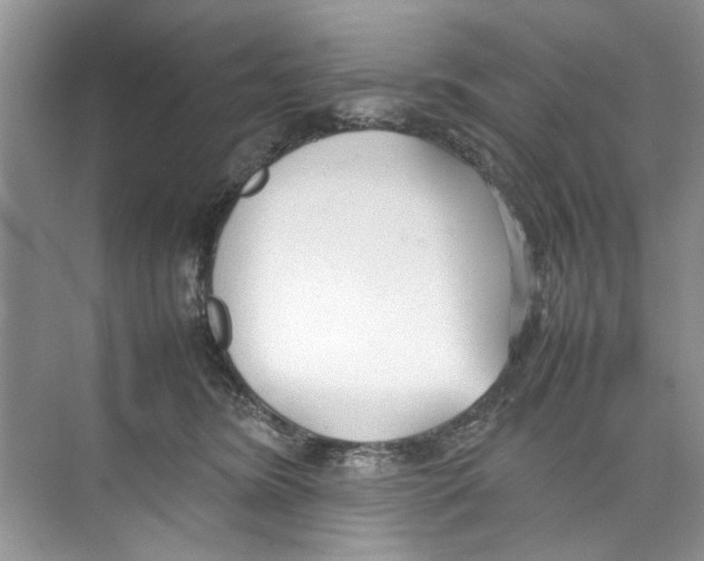 X0000074310420200609230006