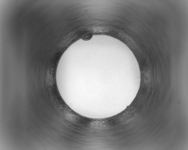 X0000074310422200609230005