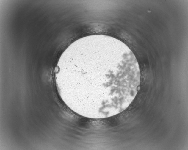 X0000074310423200609230005