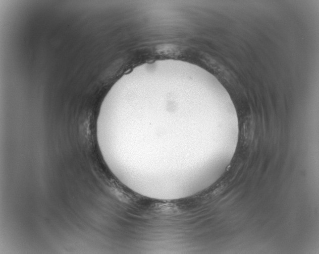 X0000074310424200609230005