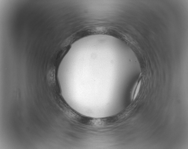 X0000074310425200609230005