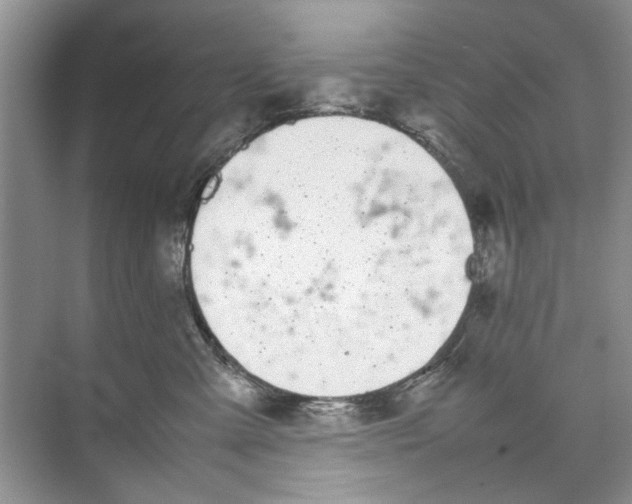 X0000074310427200609230005