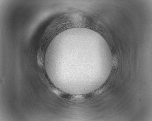 X0000074310431200609230005