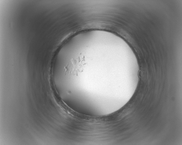 X0000074310434200609230005