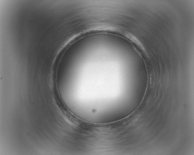 X0000074310436200609230005