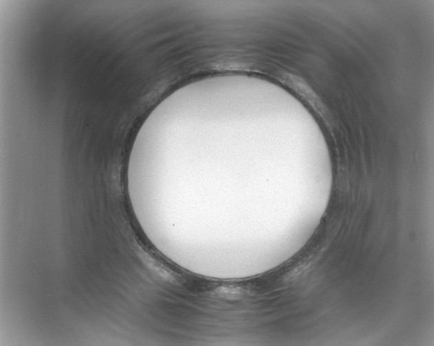 X0000074310441200609230005