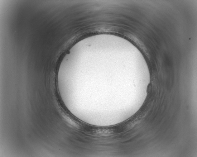 X0000074310445200609230005