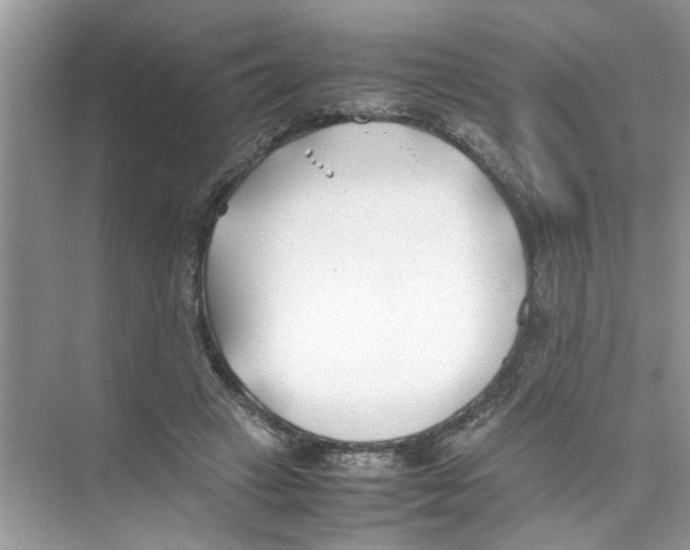 X0000074310449200609230005