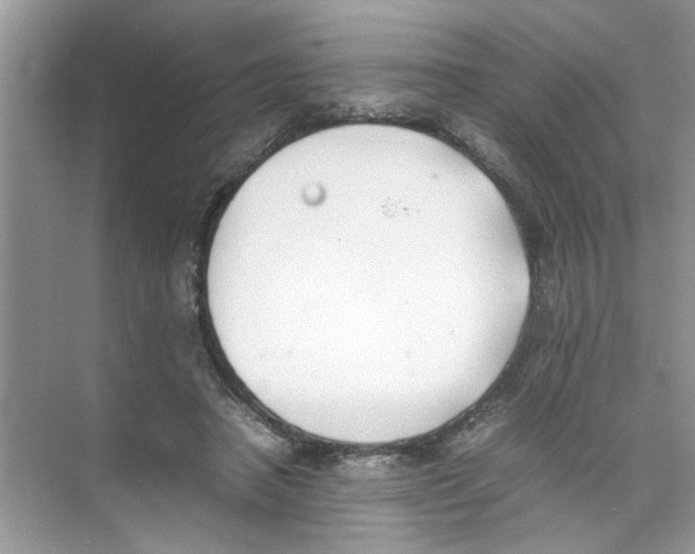 X0000074310450200609230005