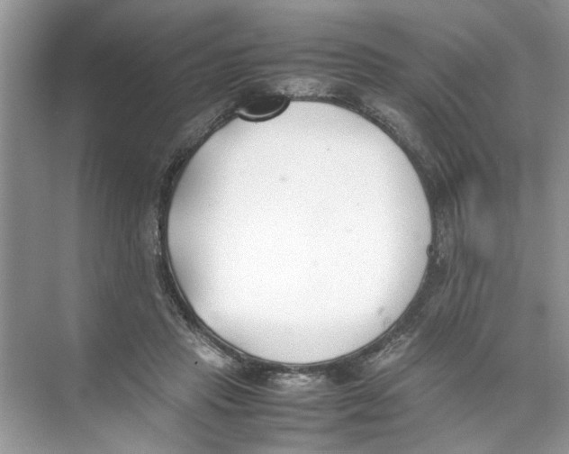 X0000074310453200609230005