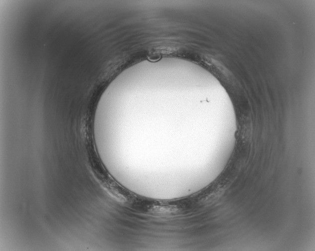 X0000074310455200609230005