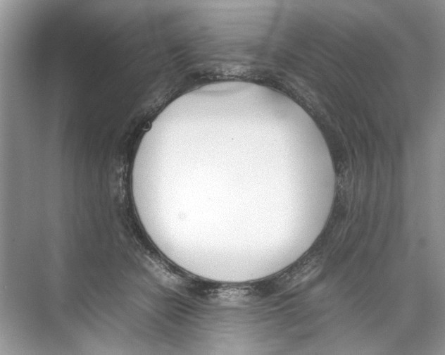 X0000074310462200609230005