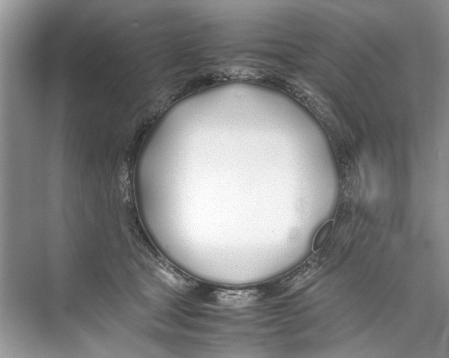 X0000074310465200609230005