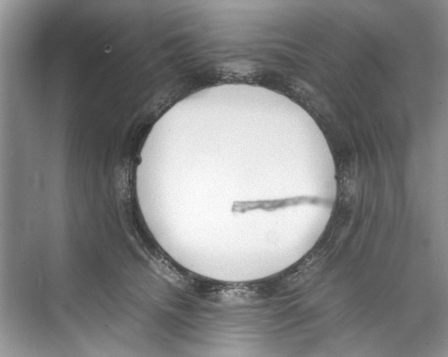 X0000074310468200609230005