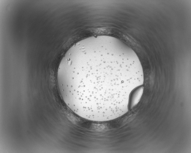 X0000074310469200609230005