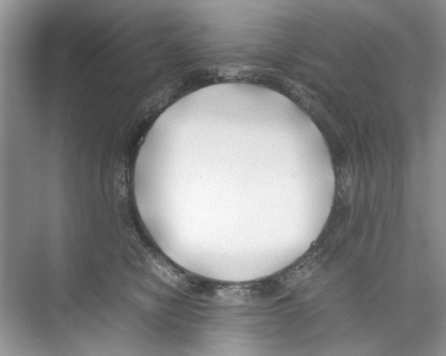 X0000074310470200609230005