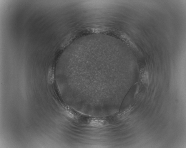 X0000074310471200609230005