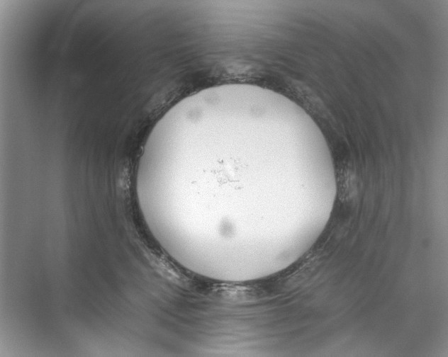 X0000074310472200609230005