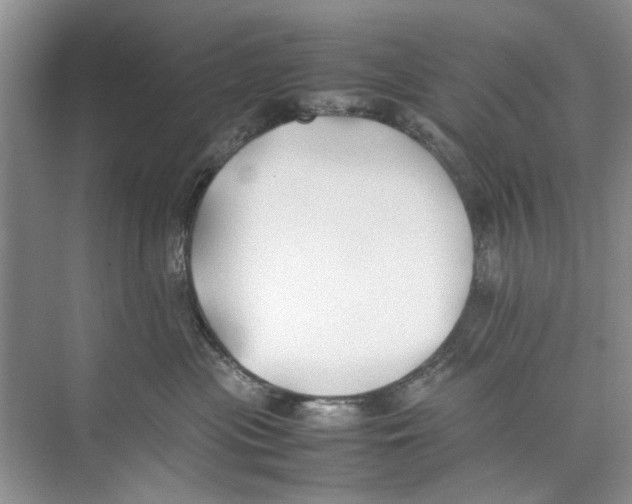 X0000074310477200609230005