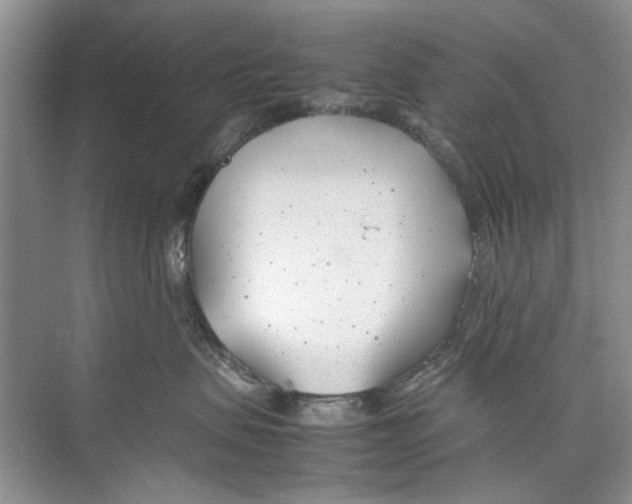 X0000074310479200609230005