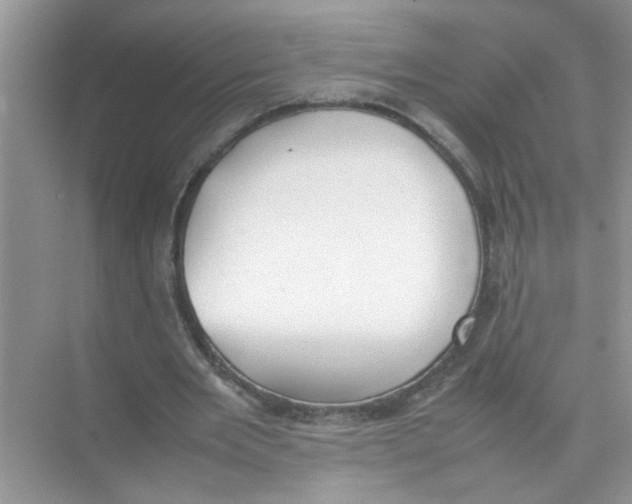 X0000074310485200609230004