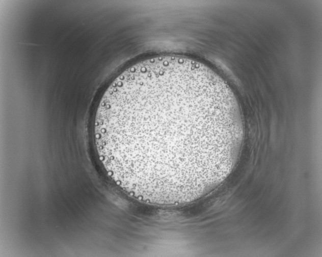 X0000074310487200609230004