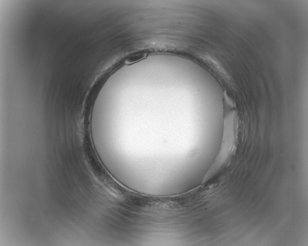 X0000074310488200609230004