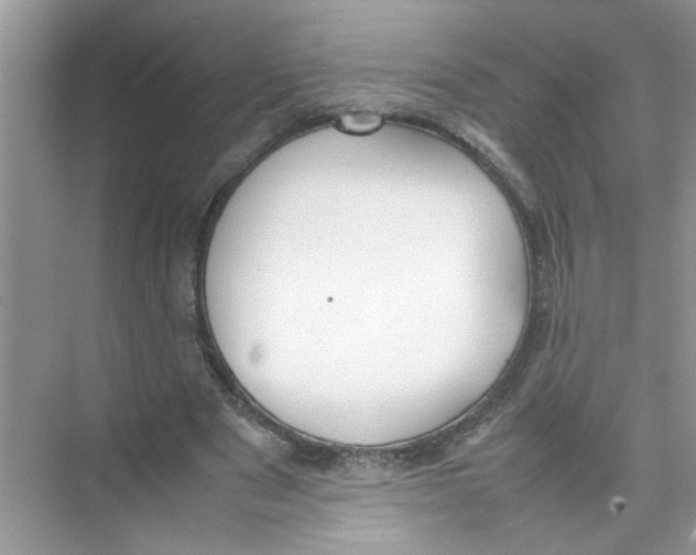 X0000074310489200609230004