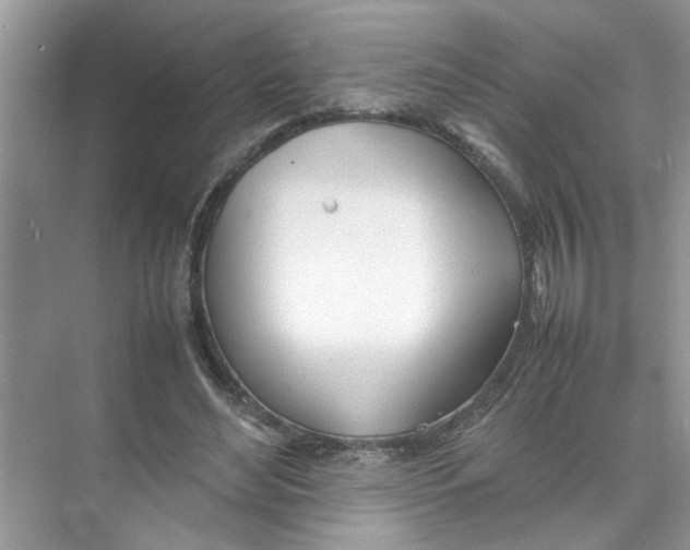 X0000074310492200609230004