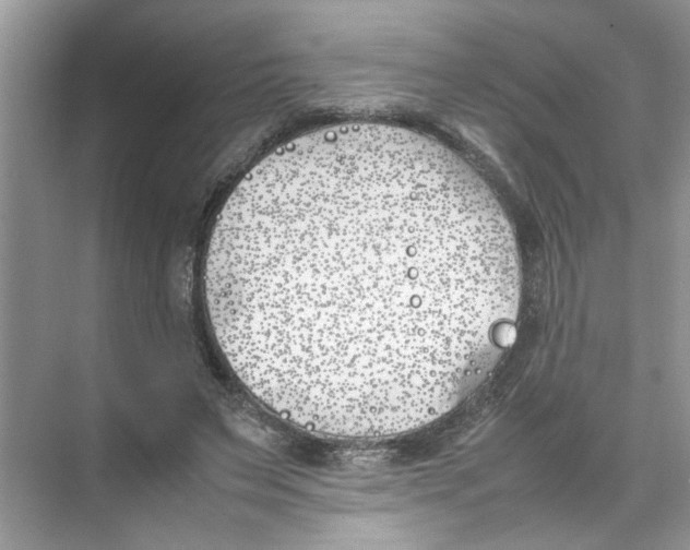 X0000074310495200609230004