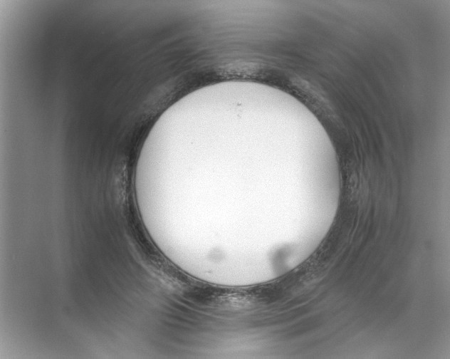 X0000074310498200609230004