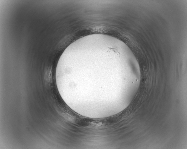 X0000074310502200609230004