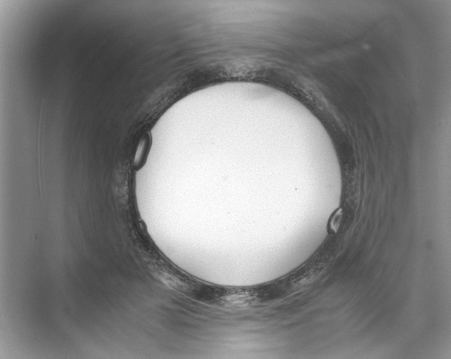 X0000074310505200609230004