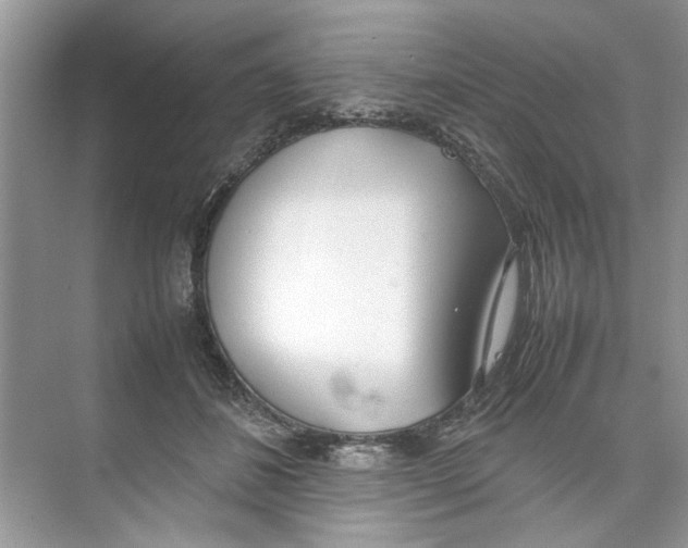 X0000074310508200609230004