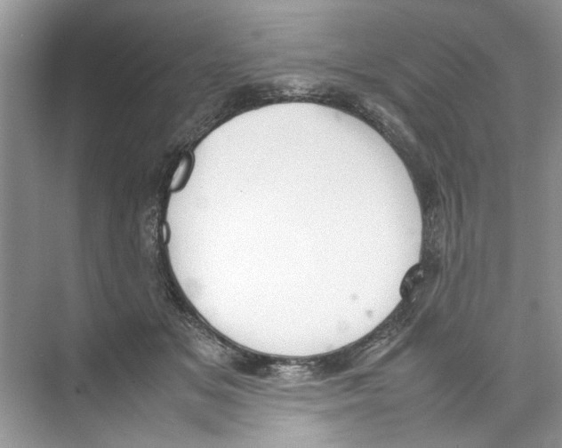 X0000074310509200609230004