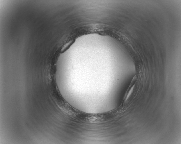 X0000074310512200609230004