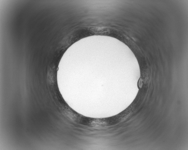 X0000074310515200609230004