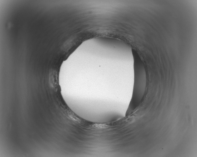 X0000074310528200609230004