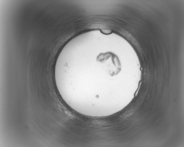 X0000074310529200609230003