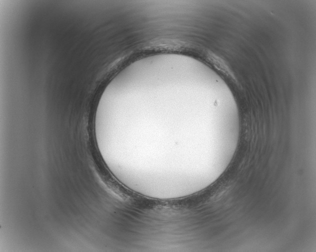 X0000074310538200609230003