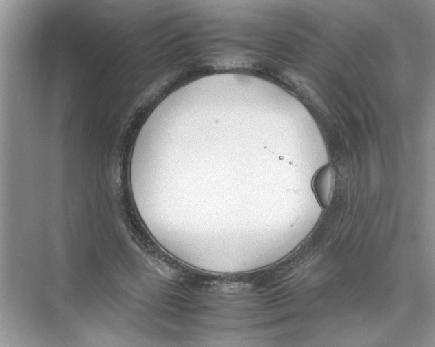 X0000074310539200609230003