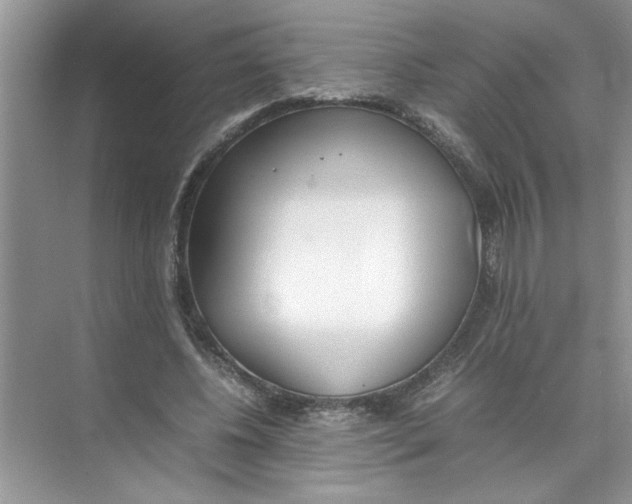 X0000074310540200609230003