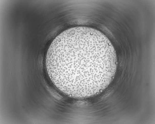 X0000074310542200609230003